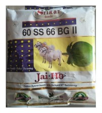 Cotton Srikar JaiHo 60 SS 66 BG II